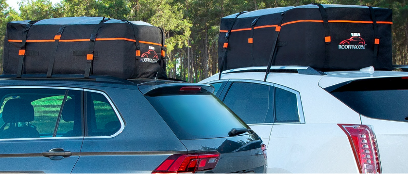 What is the weight limit for a cargo carrier bag RoofPax