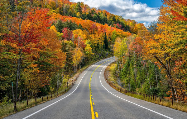 10 Reasons Why Road Trips Can Be a Blast